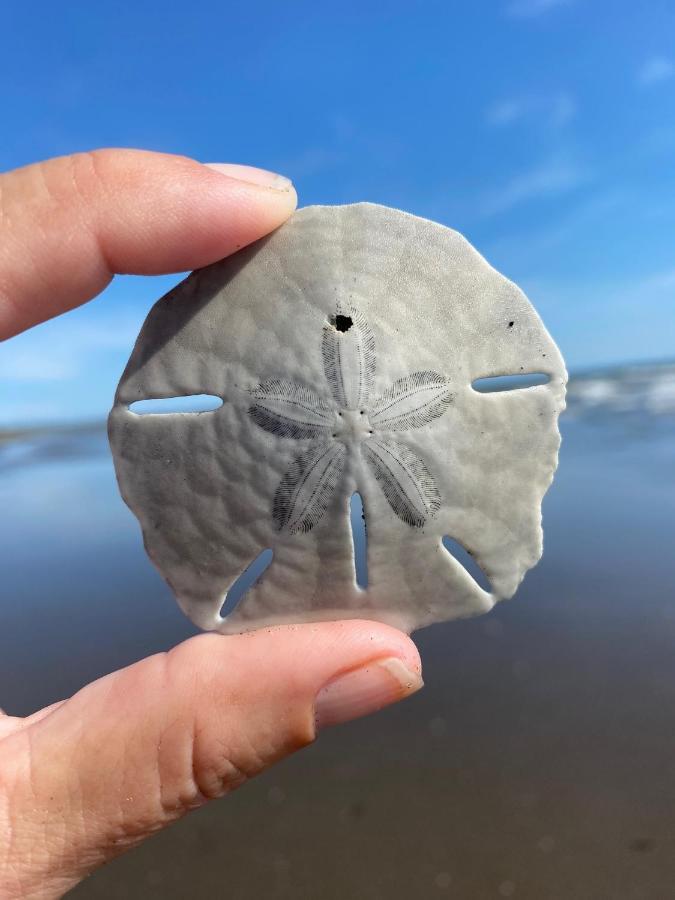 Uverito Sand Dollar B&B 라스 타블라스 외부 사진