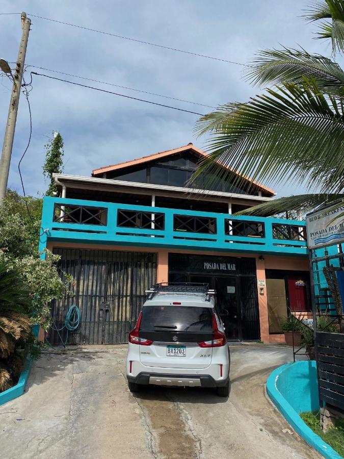 Uverito Sand Dollar B&B 라스 타블라스 외부 사진