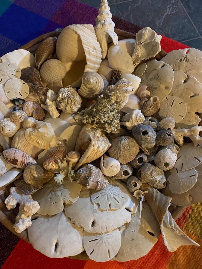Uverito Sand Dollar B&B 라스 타블라스 외부 사진