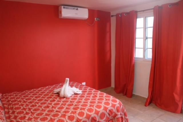 Uverito Sand Dollar B&B 라스 타블라스 외부 사진