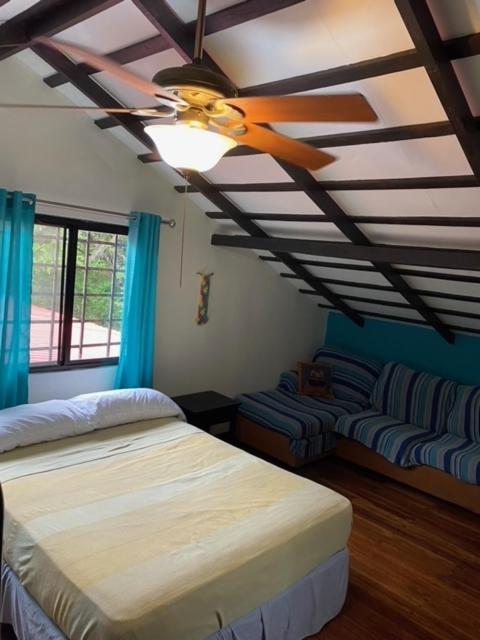 Uverito Sand Dollar B&B 라스 타블라스 외부 사진